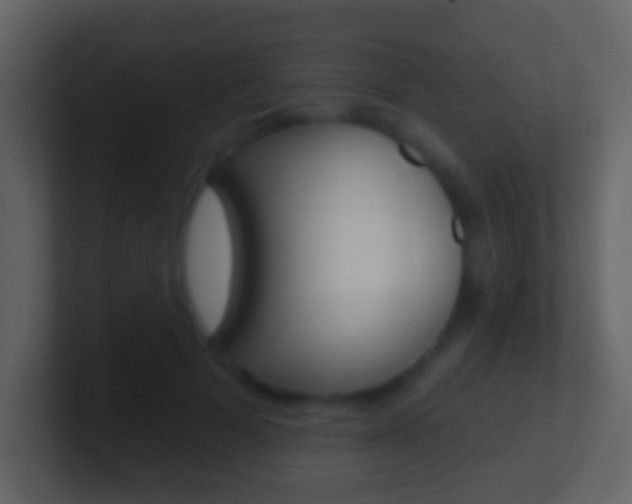X0000101450697200807071111