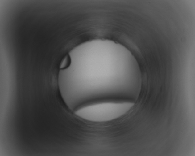 X0000101450719200807071111