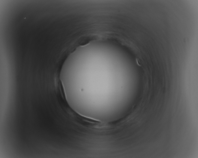 X0000101450720200807071111