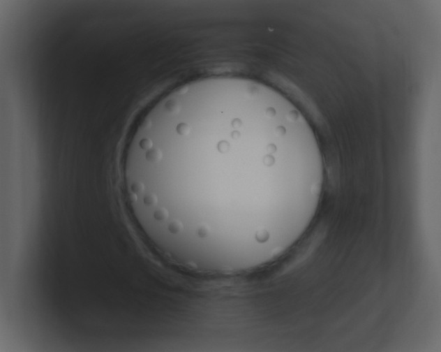 X0000101450721200807071110