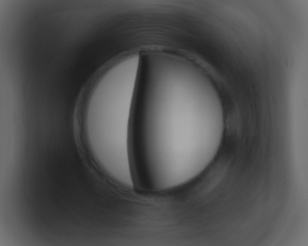 X0000101450722200807071110