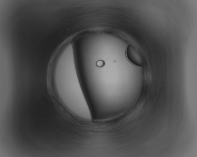 X0000101450724200807071110