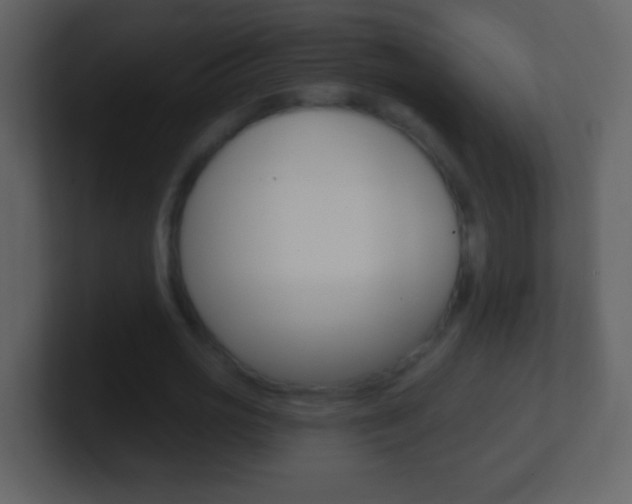 X0000101450725200807071110