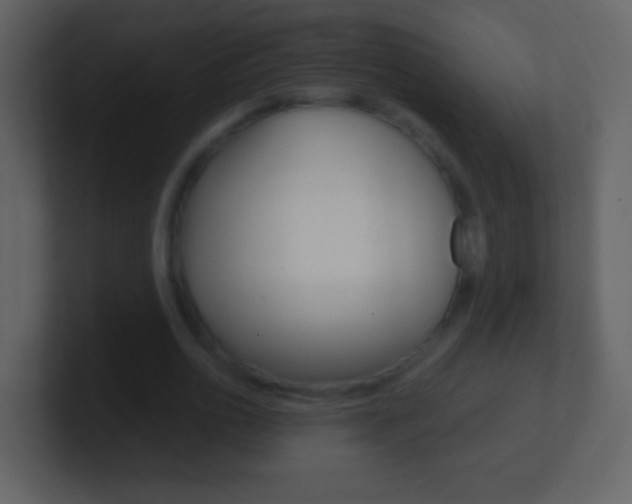 X0000101450726200807071110