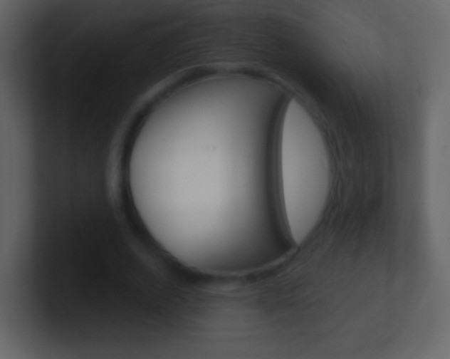 X0000101450728200807071110