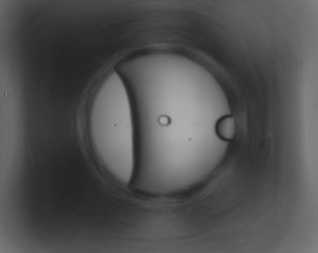 X0000101450734200807071110