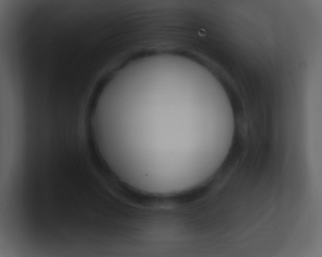 X0000101450735200807071110