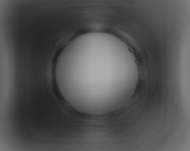 X0000101450740200807071110