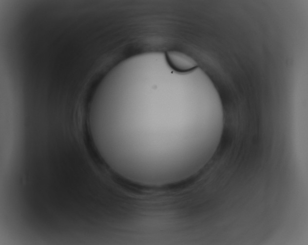 X0000101450742200807071110