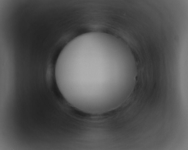 X0000101450744200807071110