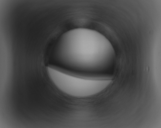 X0000101450750200807071110