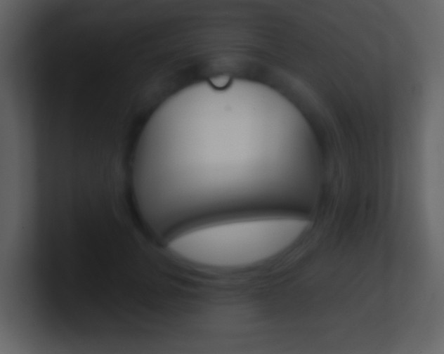 X0000101450751200807071110