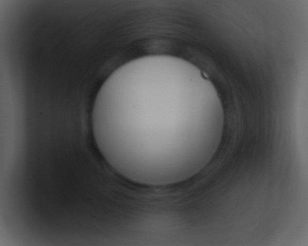 X0000101450755200807071110
