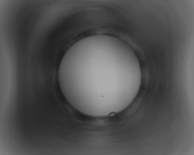 X0000101450760200807071110