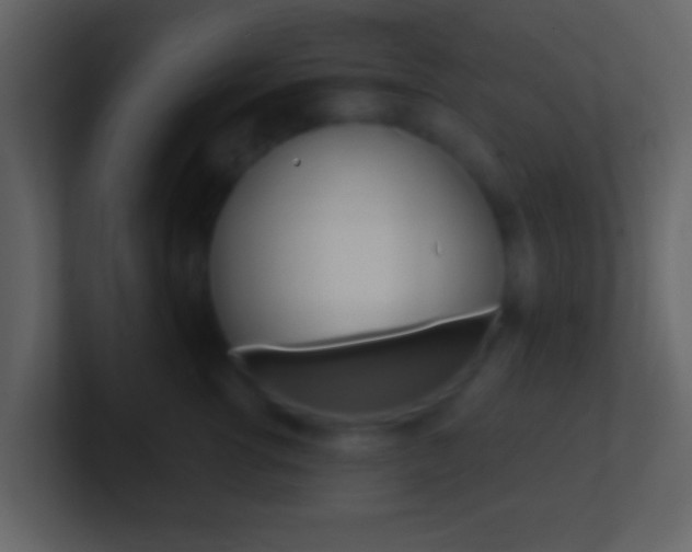 X0000101450762200807071110