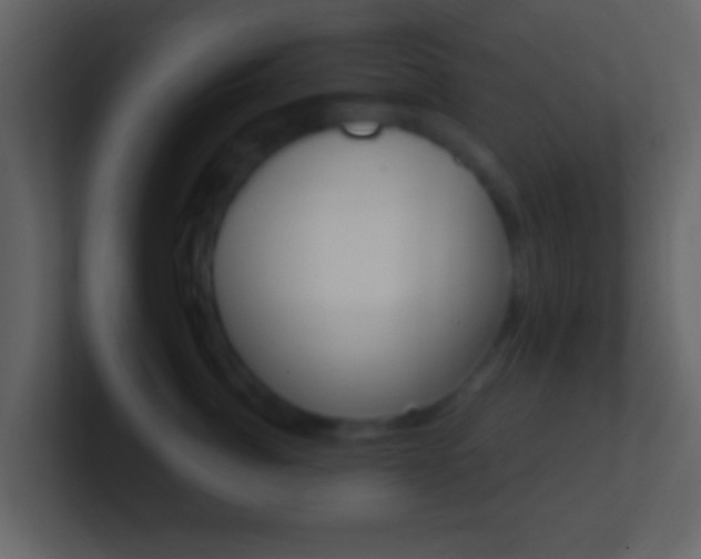 X0000101450764200807071111