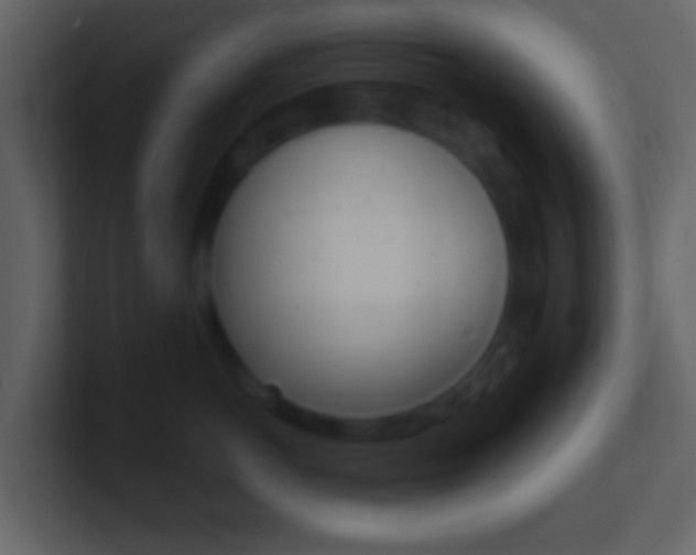 X0000101450766200807071111