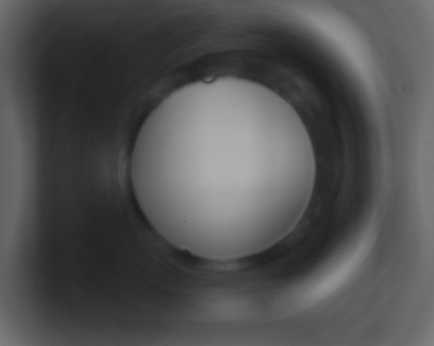 X0000101450767200807071111