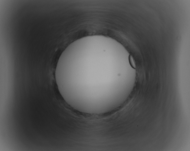 X0000101450770200807071110