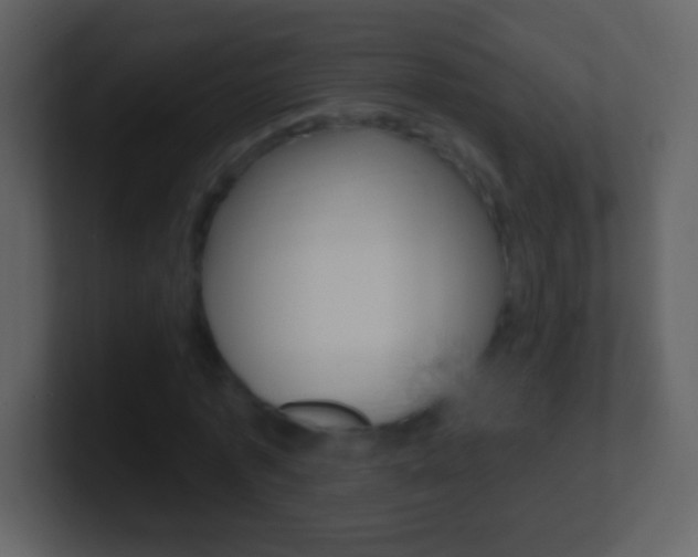 X0000101450773200807071110