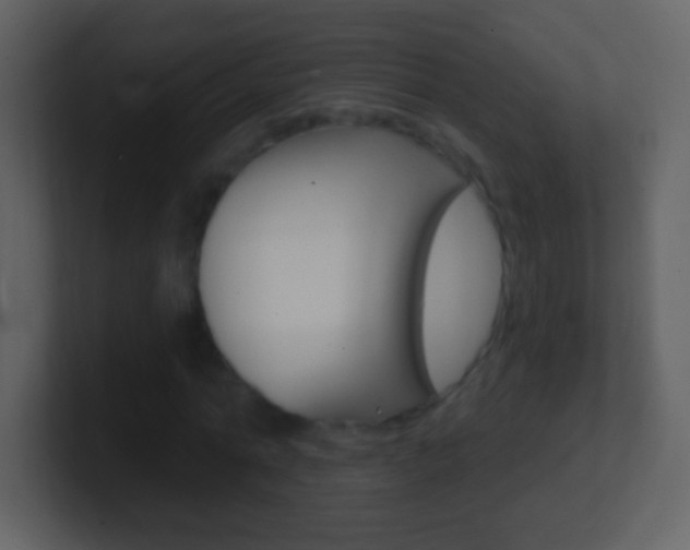 X0000101450774200807071110