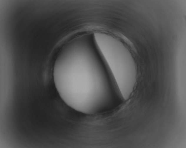 X0000101450775200807071110