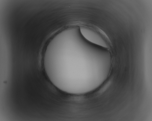 X0000101450778200807071110