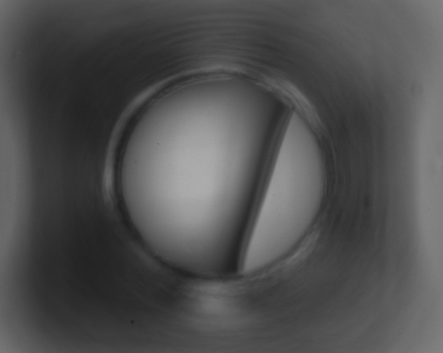 X0000101450780200807071110