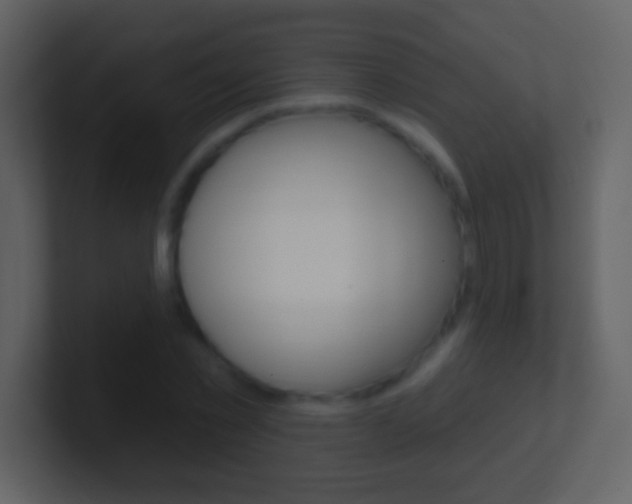 X0000101450781200807071110