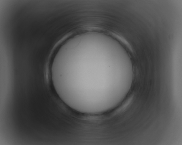 X0000101450782200807071110