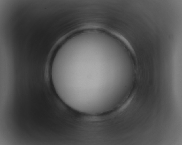 X0000101450783200807071110