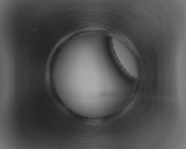 X0000101450784200807071110