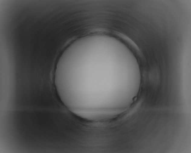 X0000101450785200807071110