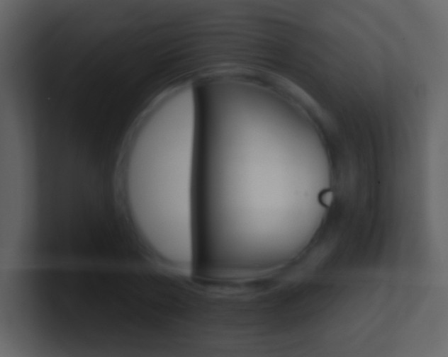 X0000101450786200807071110