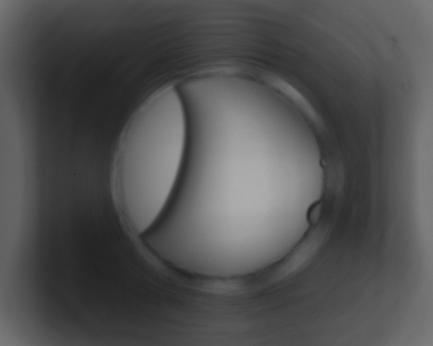 X0000101450802200807071109