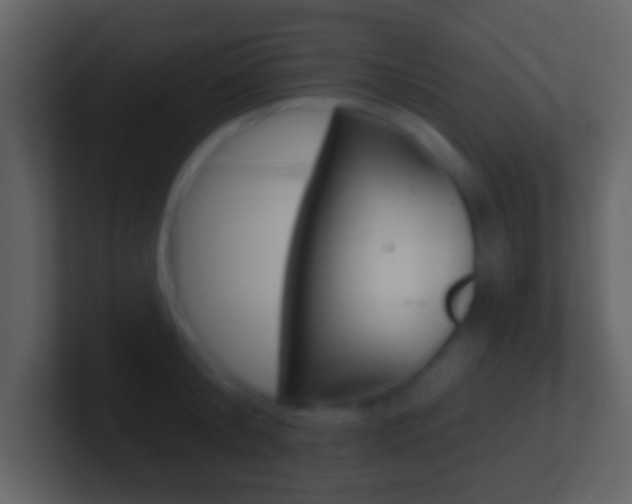X0000101450804200807071109