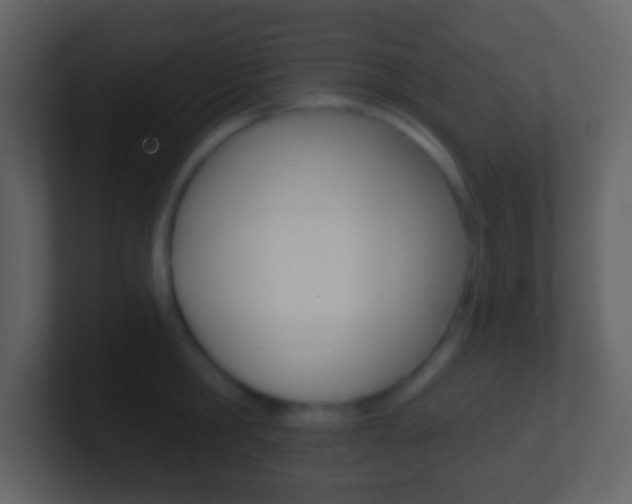 X0000101450806200807071109