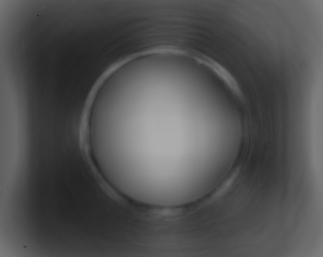 X0000101450808200807071109
