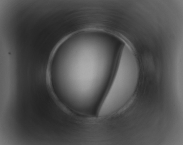 X0000101450812200807071109