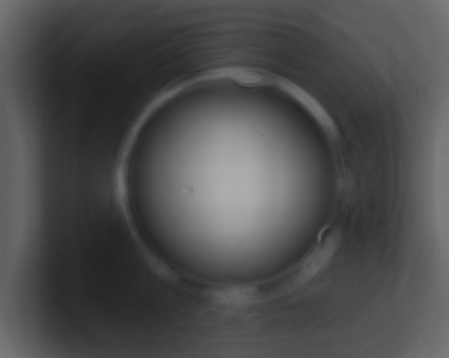 X0000101450813200807071109