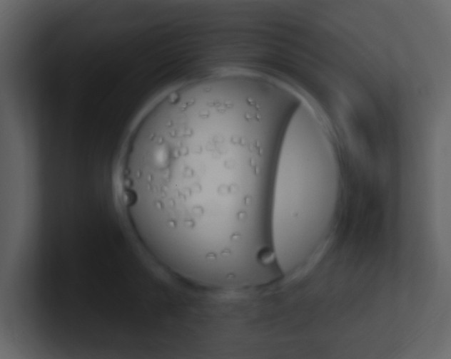 X0000101450814200807071109