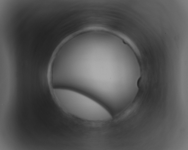 X0000101450815200807071109
