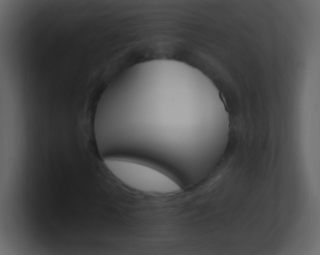 X0000101450818200807071109