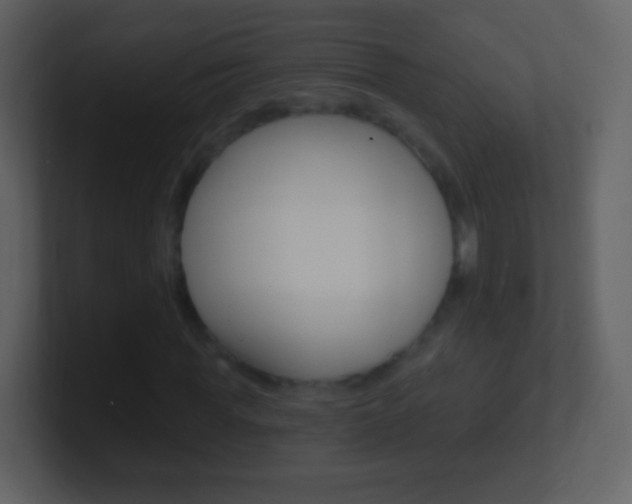 X0000101450819200807071109