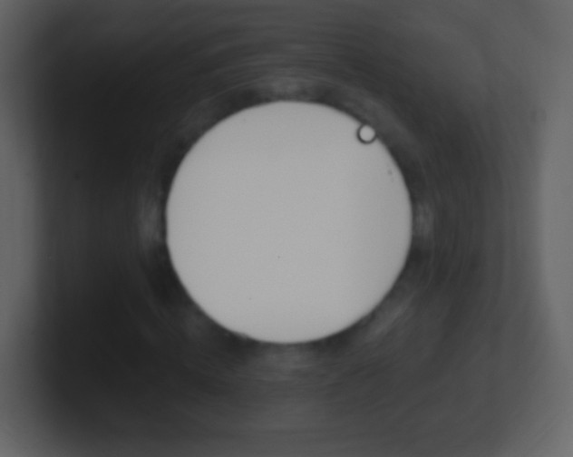 X0000101450820200807071109
