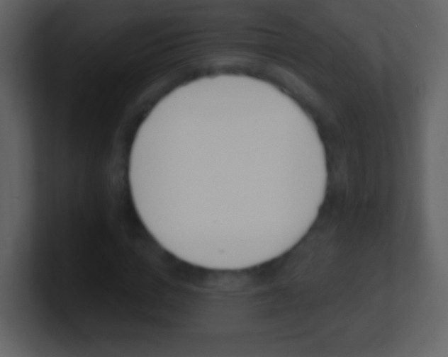 X0000101450824200807071109