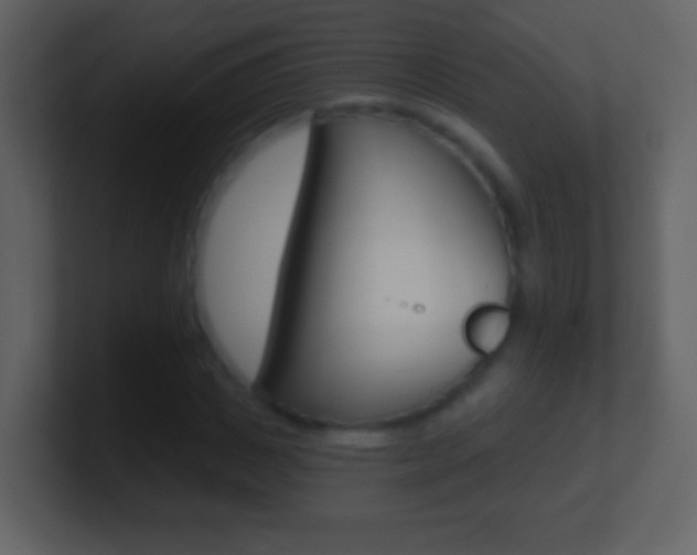 X0000101450825200807071109