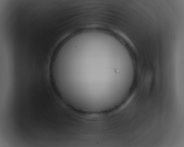 X0000101450826200807071109