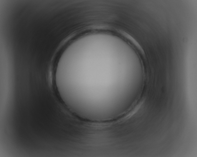 X0000101450829200807071109