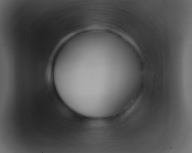X0000101450838200807071109
